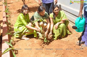 FICCI Go Green Chirec Public School