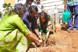 FICCI Go Green Chirec Public School