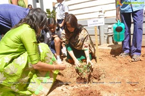 FICCI Go Green Chirec Public School