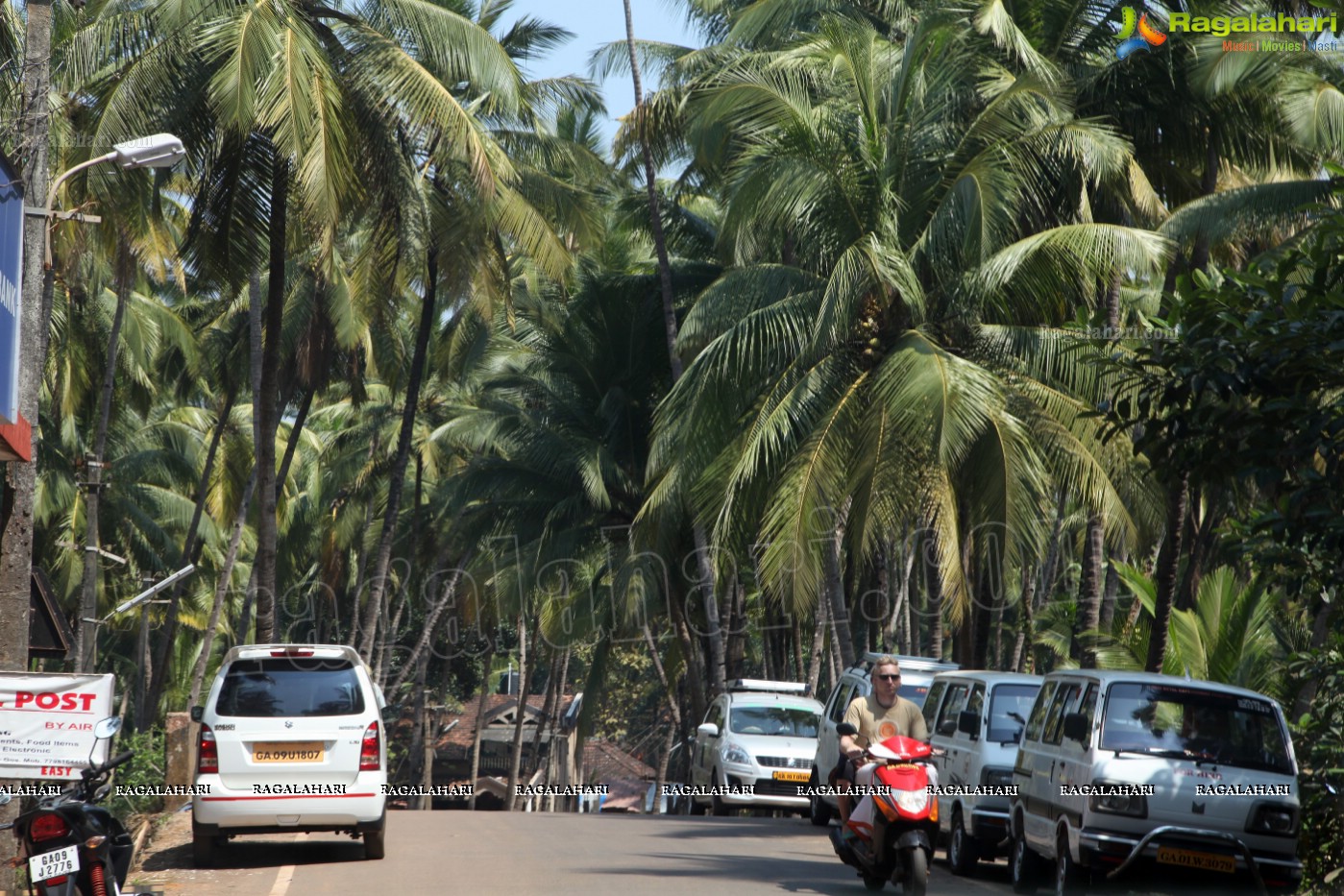 Agonda Beach, Goa