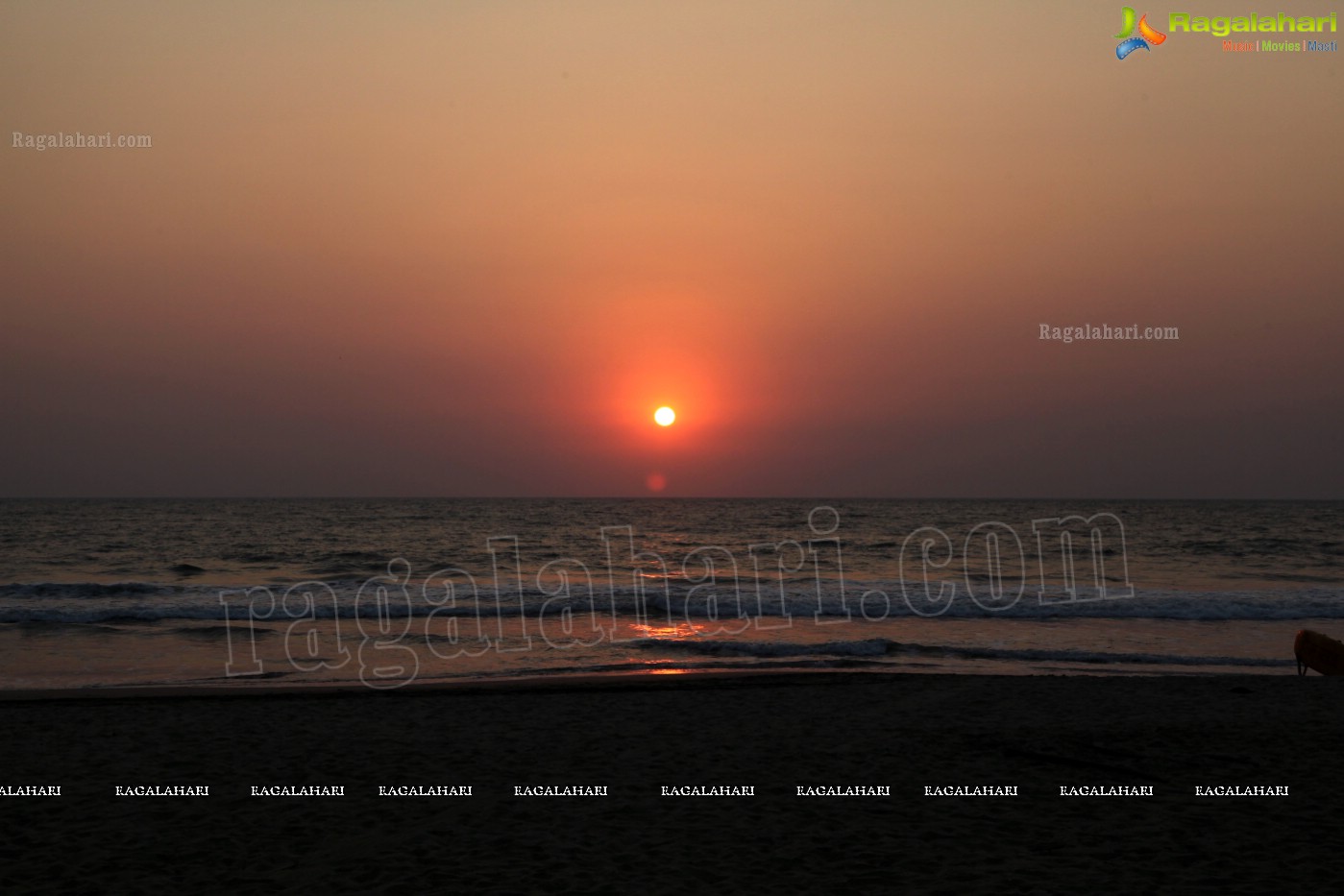 Agonda Beach, Goa