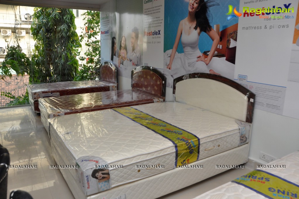 3G Love Team launches 'Hall of Furniture' at Banjara Hills, Hyderabad