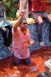 Hyderabad Holi Celebrations