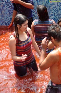 Hyderabad Holi Celebrations