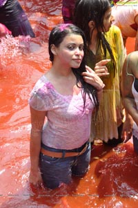 Hyderabad Holi Celebrations