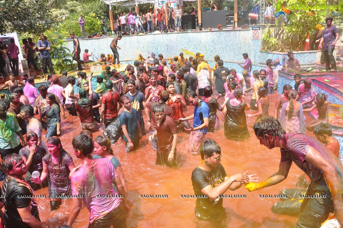 Holi 2013 Celebrations by Chocolate Boy at Fortune Select Manohar, Hyderabad