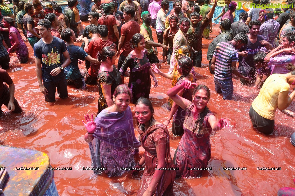 Holi 2013 Celebrations by Chocolate Boy at Fortune Select Manohar, Hyderabad