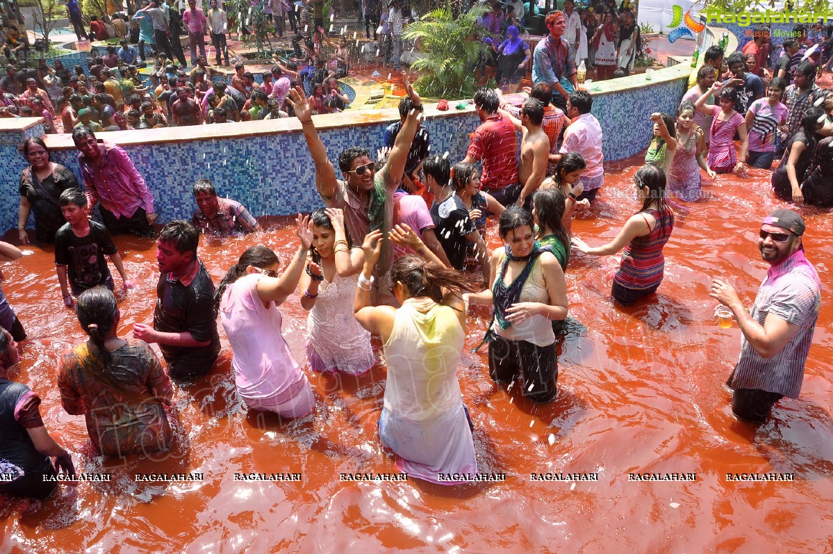 Holi 2013 Celebrations by Chocolate Boy at Fortune Select Manohar, Hyderabad