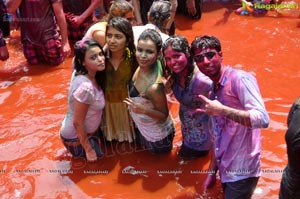 Hyderabad Holi Celebrations