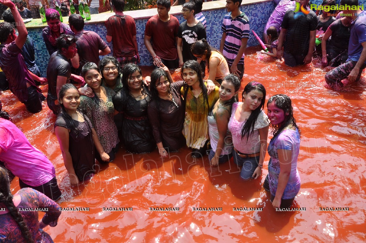 Holi 2013 Celebrations by Chocolate Boy at Fortune Select Manohar, Hyderabad