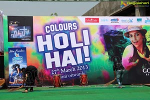 Golkonda Resorts Holi Celebrations