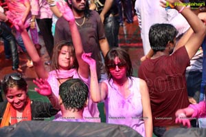 Golkonda Resorts Holi Celebrations