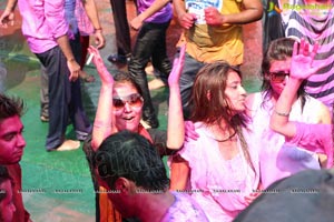 Golkonda Resorts Holi Celebrations