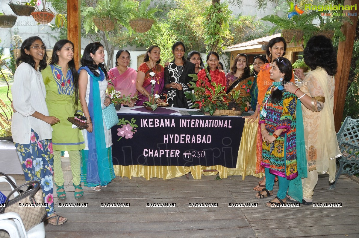 Mini lkebana Exhibition with Dry-Fresh Flowers and Foliage, Hyderabad