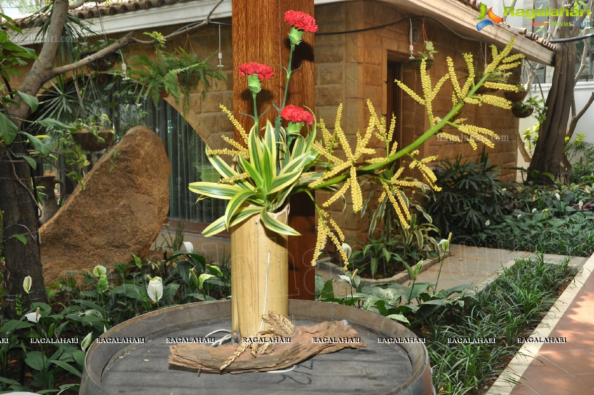 Mini lkebana Exhibition with Dry-Fresh Flowers and Foliage, Hyderabad