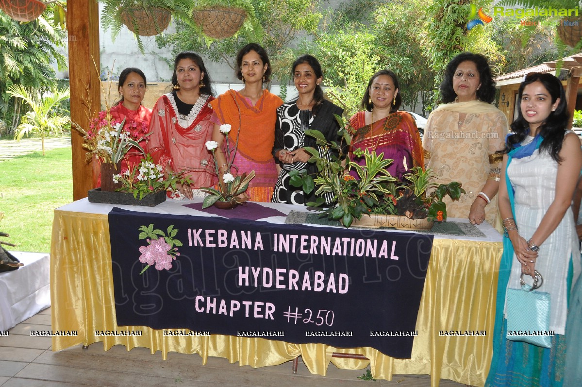 Mini lkebana Exhibition with Dry-Fresh Flowers and Foliage, Hyderabad