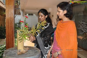 lkebana Dry Fresh Flower Exhibition