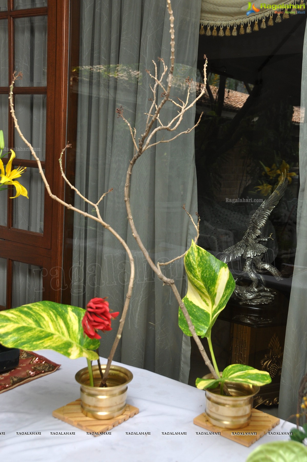 Mini lkebana Exhibition with Dry-Fresh Flowers and Foliage, Hyderabad