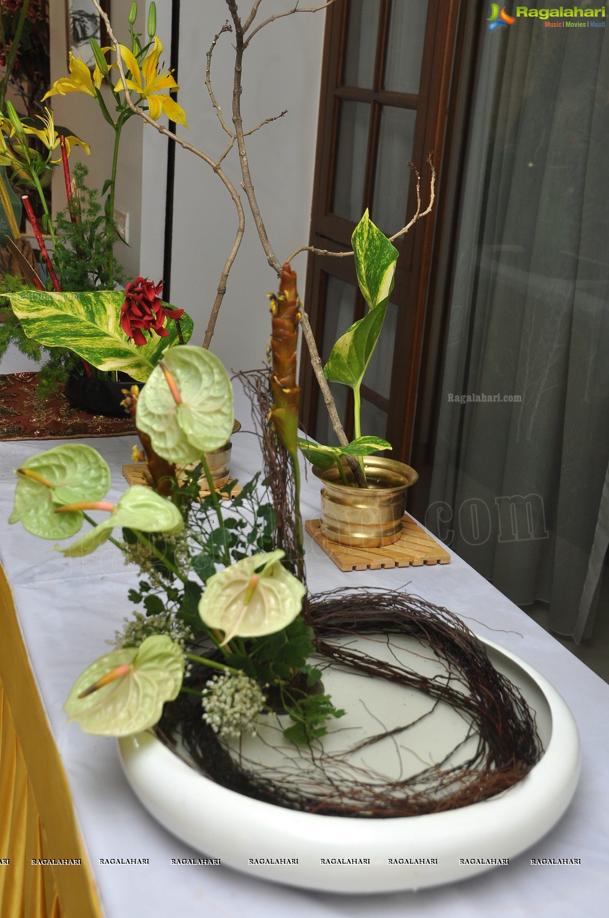 Mini lkebana Exhibition with Dry-Fresh Flowers and Foliage, Hyderabad