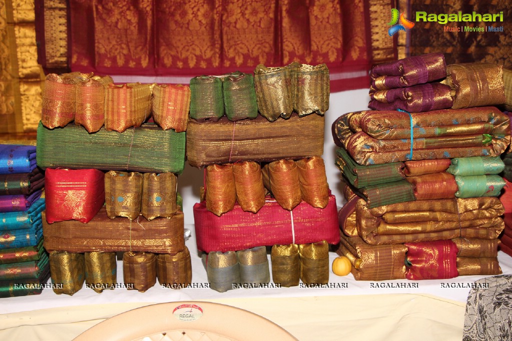 National Handloom Expo 2013, Hyderabad