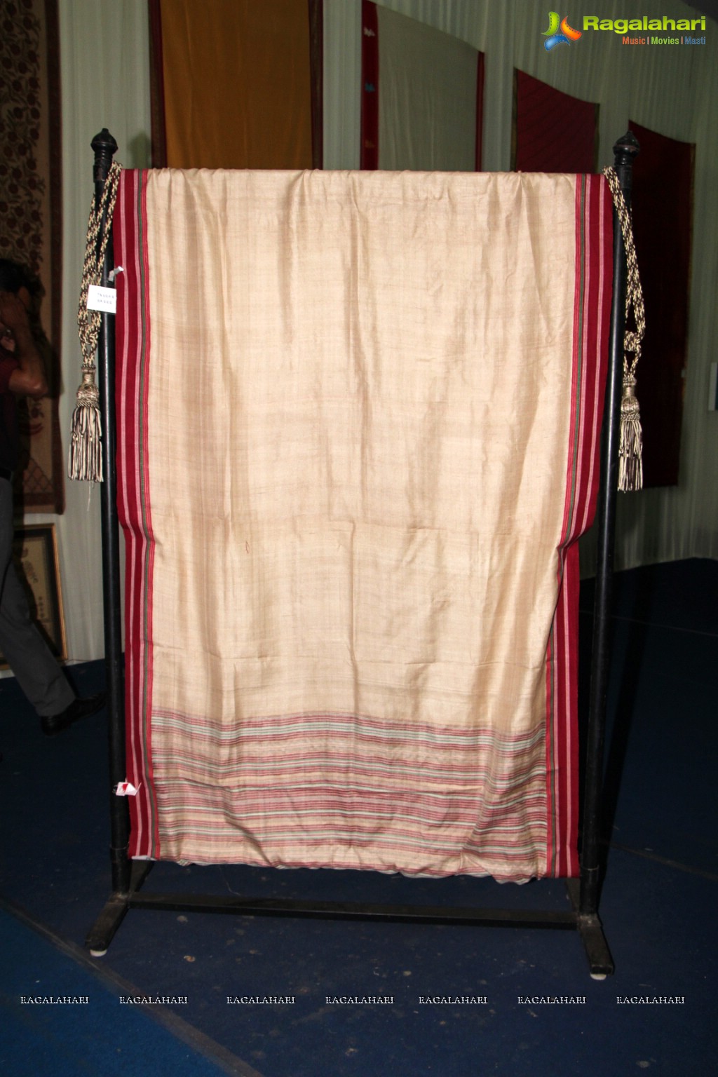 National Handloom Expo 2013, Hyderabad