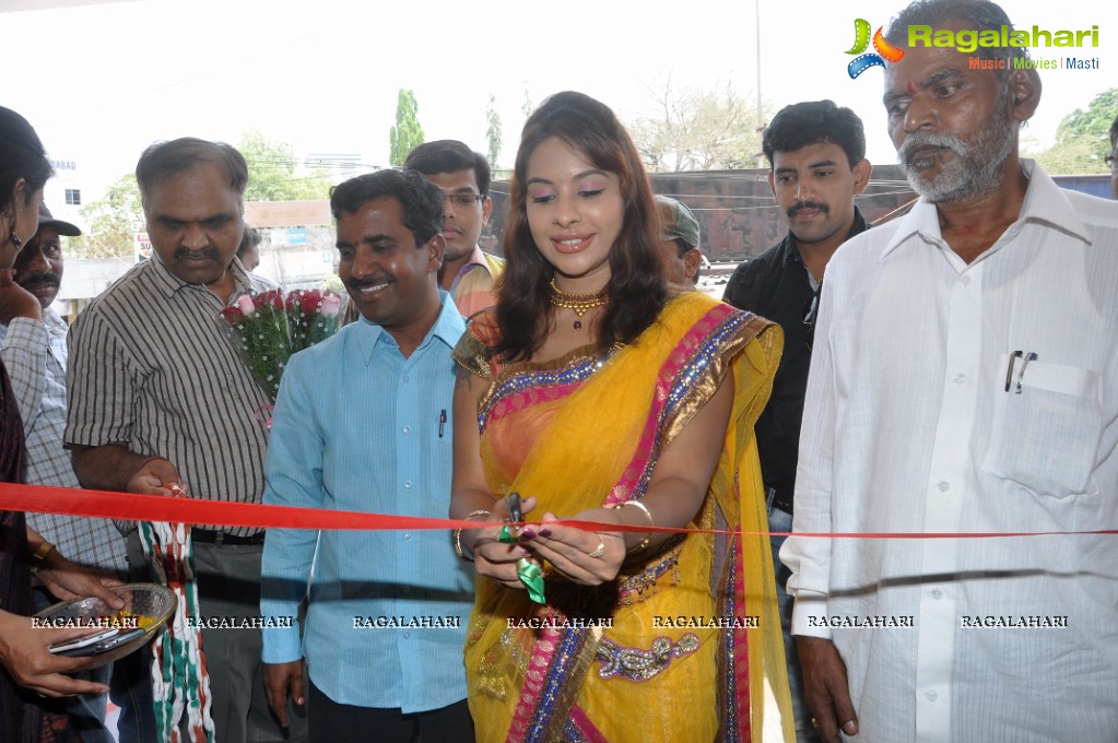 Srilekha inaugurates Pochampally IKAT Art Mela 2013