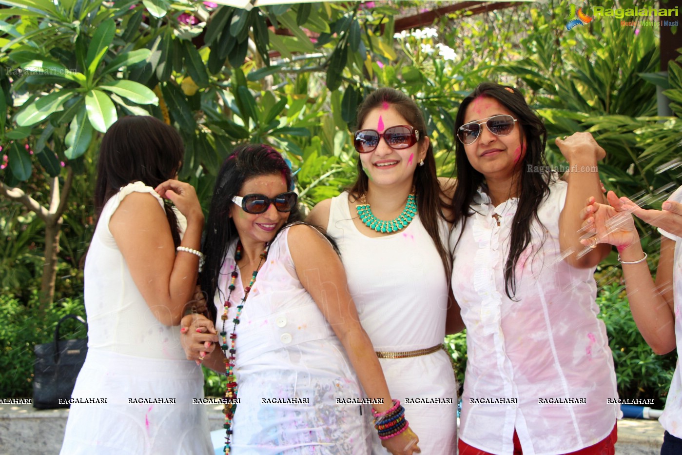 Club Se La Vie's 2013 Holi Bash at Radisson Blu Plaza, Hyderabad