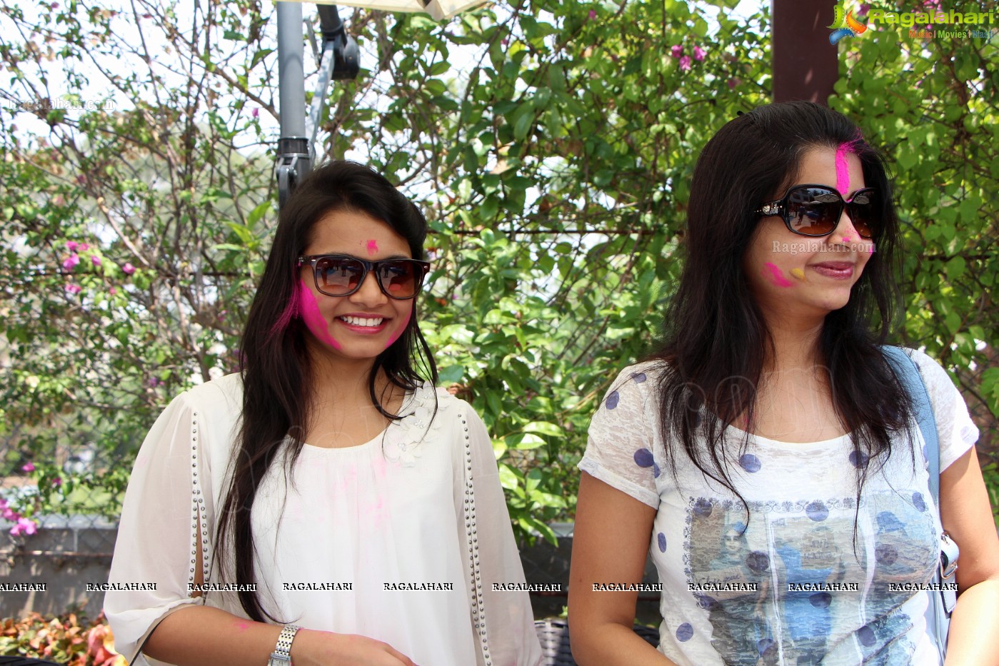 Club Se La Vie's 2013 Holi Bash at Radisson Blu Plaza, Hyderabad