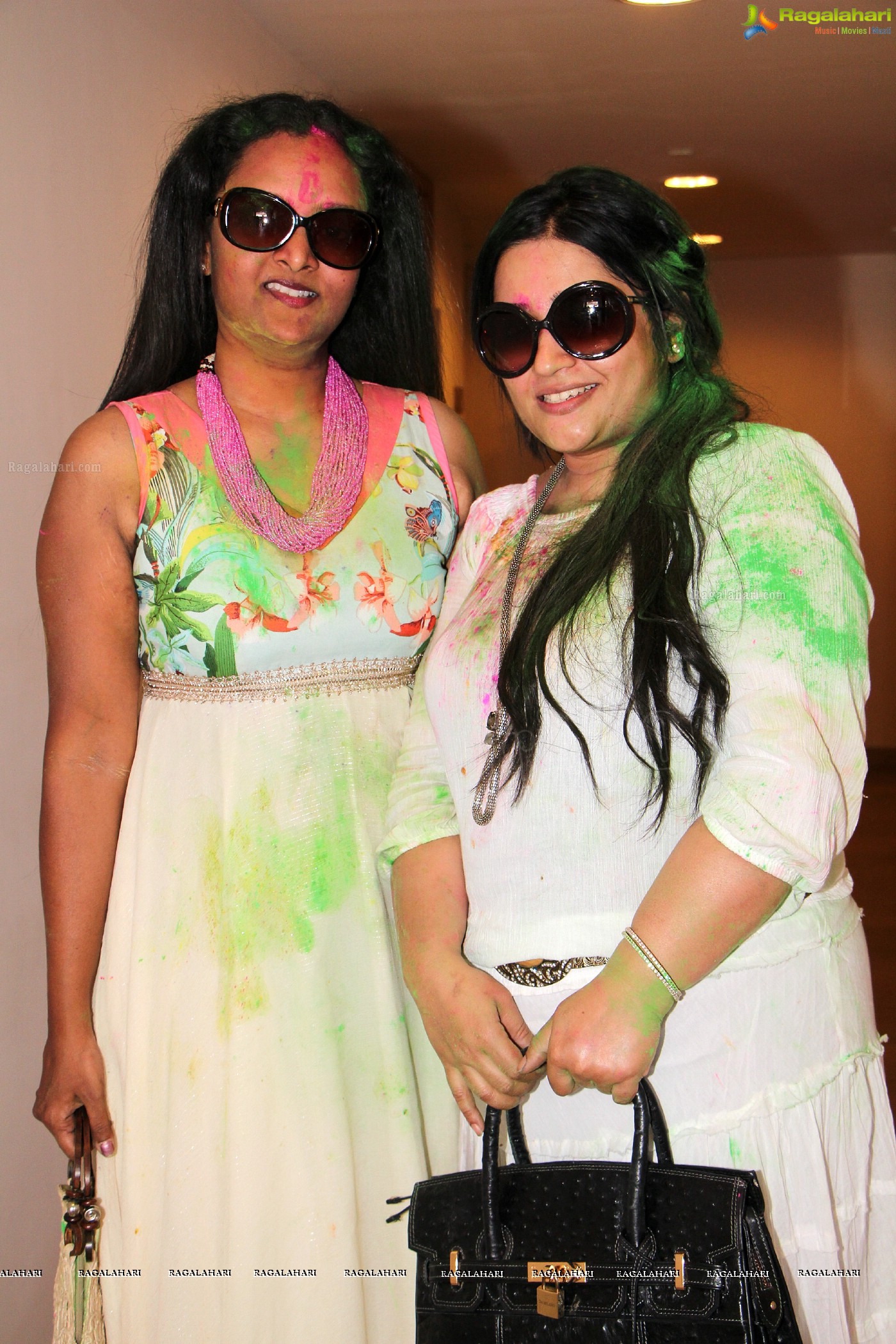 Club Se La Vie's 2013 Holi Bash at Radisson Blu Plaza, Hyderabad