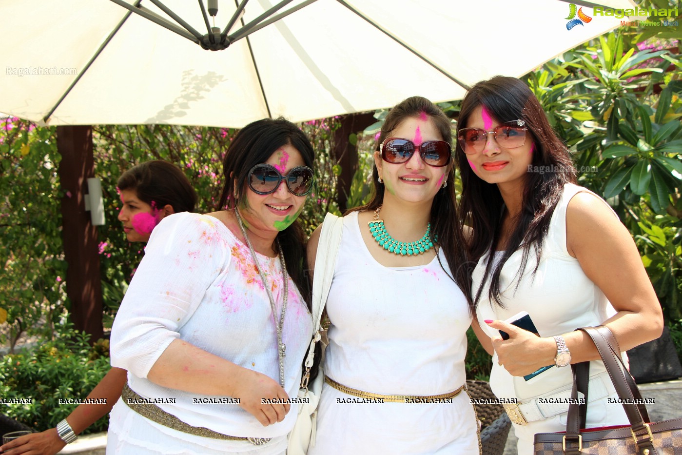 Club Se La Vie's 2013 Holi Bash at Radisson Blu Plaza, Hyderabad