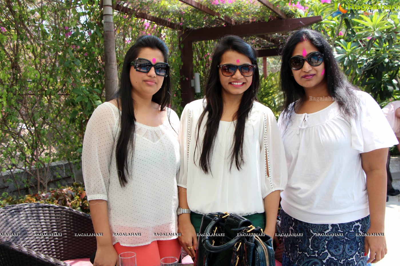 Club Se La Vie's 2013 Holi Bash at Radisson Blu Plaza, Hyderabad