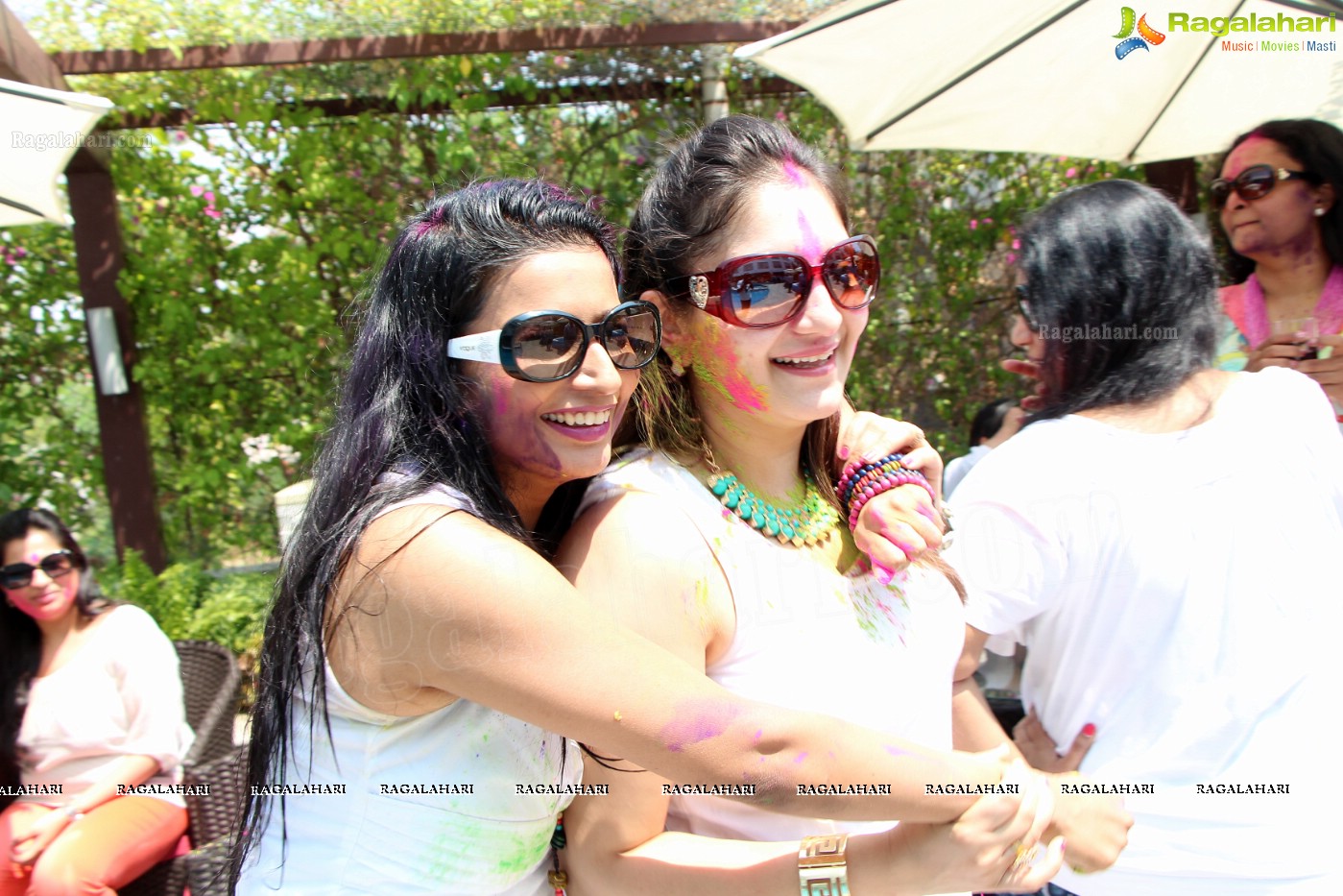 Club Se La Vie's 2013 Holi Bash at Radisson Blu Plaza, Hyderabad