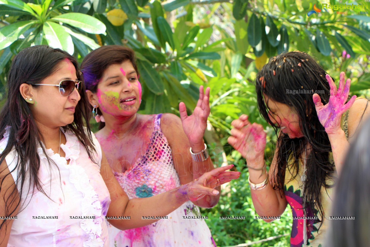 Club Se La Vie's 2013 Holi Bash at Radisson Blu Plaza, Hyderabad