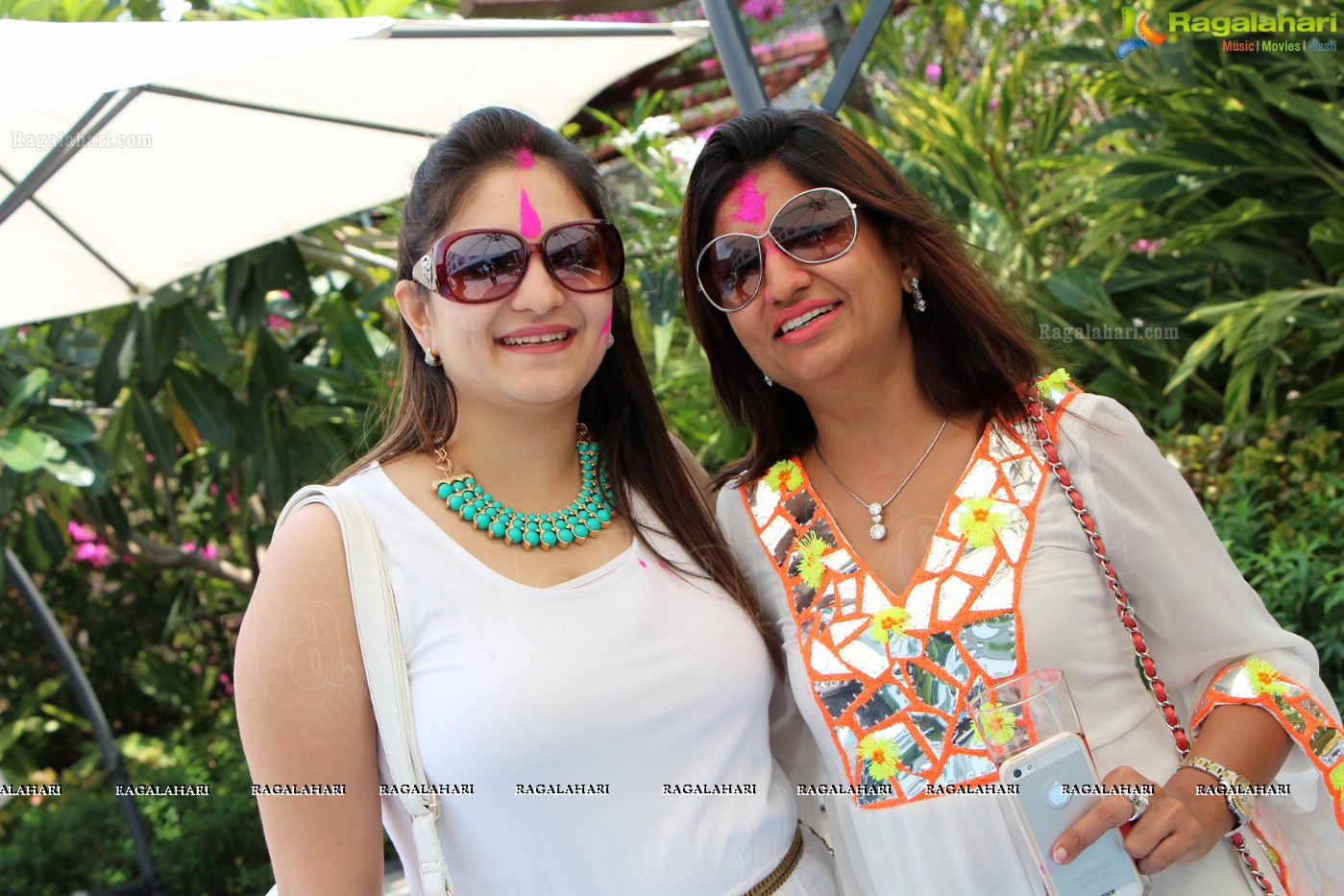 Club Se La Vie's 2013 Holi Bash at Radisson Blu Plaza, Hyderabad