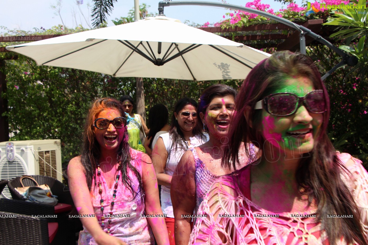 Club Se La Vie's 2013 Holi Bash at Radisson Blu Plaza, Hyderabad