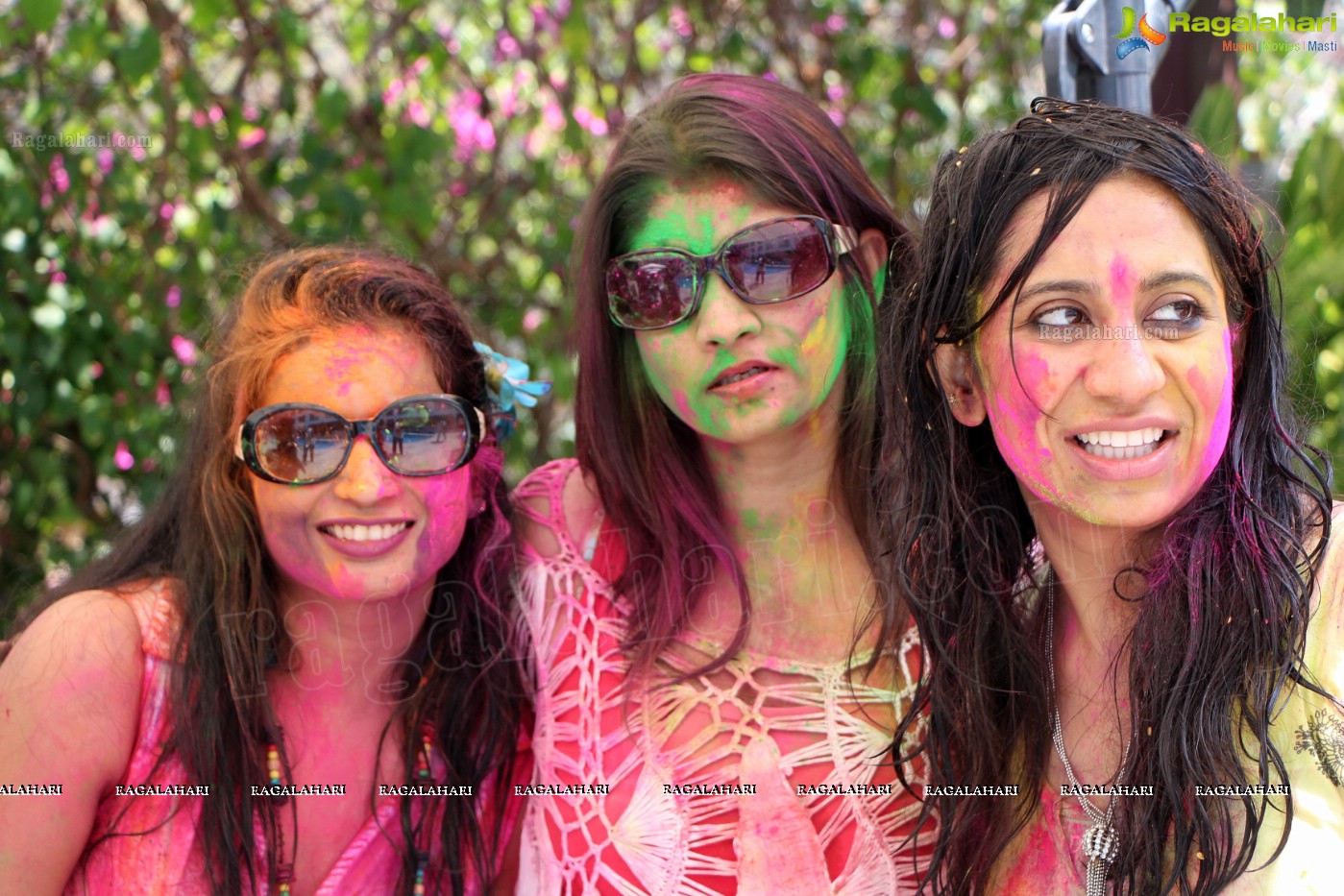 Club Se La Vie's 2013 Holi Bash at Radisson Blu Plaza, Hyderabad