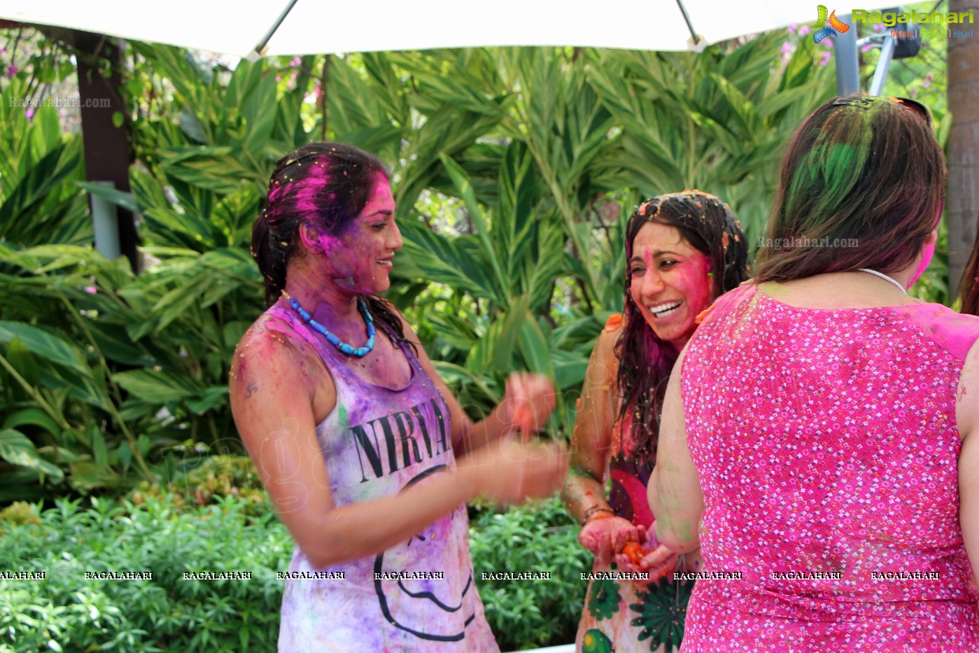 Club Se La Vie's 2013 Holi Bash at Radisson Blu Plaza, Hyderabad