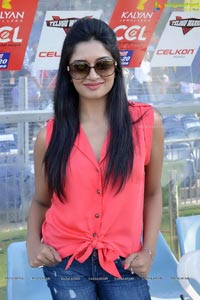 CCL 3 Telugu Warriors Vs Bhojpuri Dabanggs