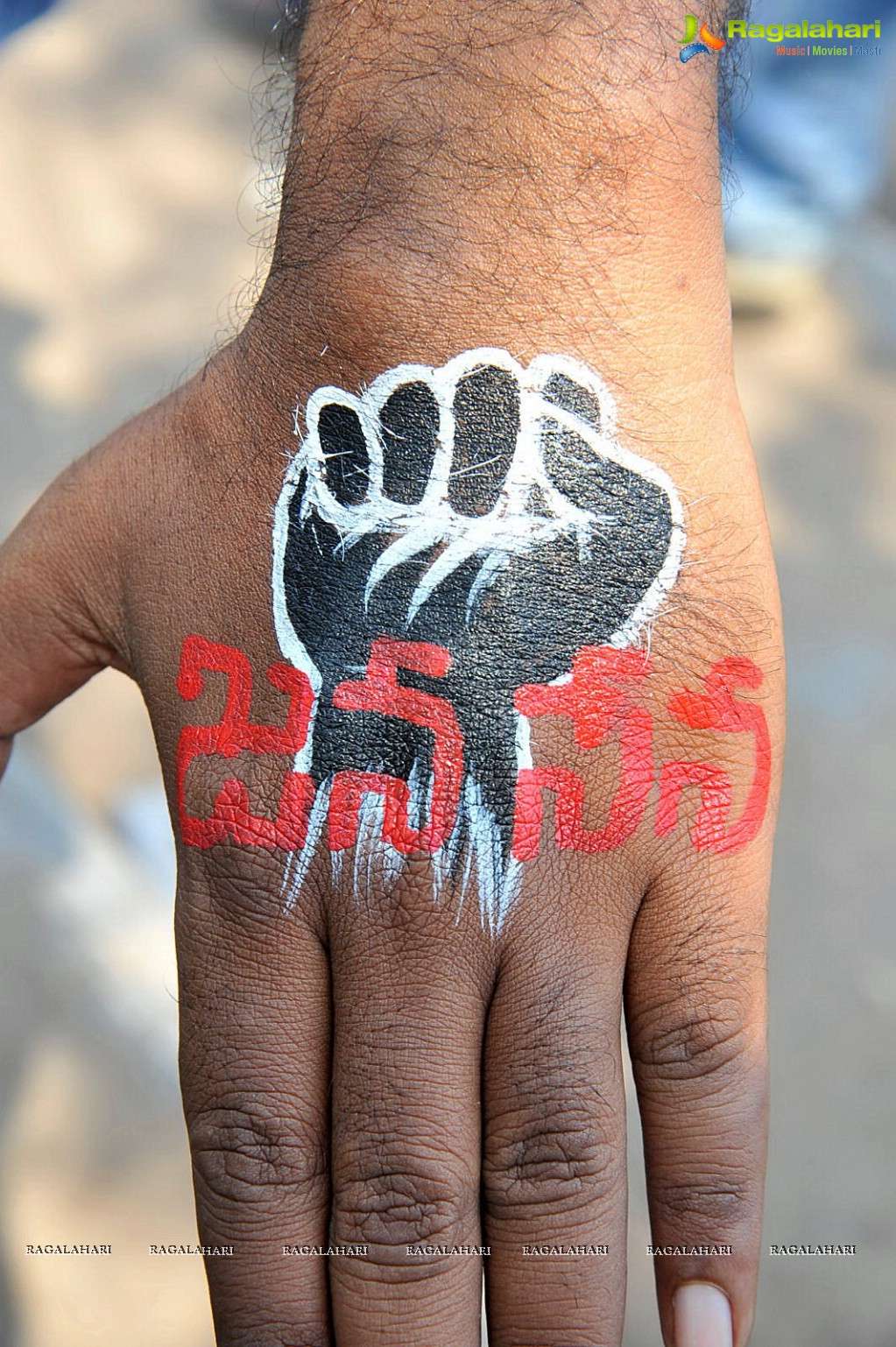 Jana Sena Youth Meet, Vizag (Set 1)