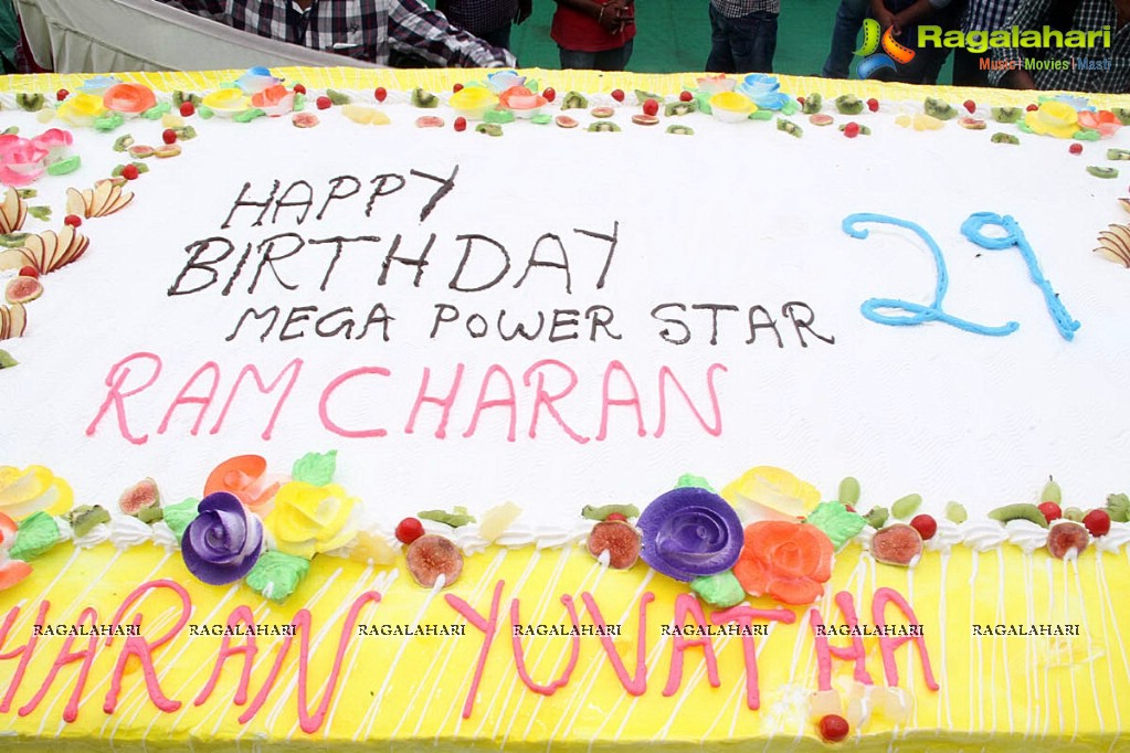 Ram Charan Birthday 2014