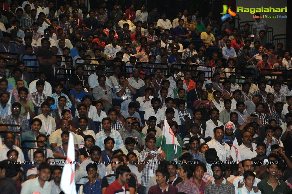 Jana Sena Party Launch in Hyderabad (Set 2)