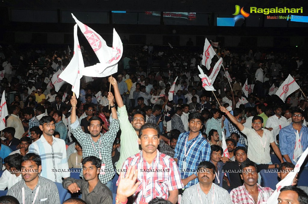 Jana Sena Party Launch in Hyderabad (Set 2)