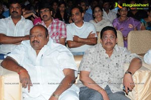 Race Gurram Audio Release