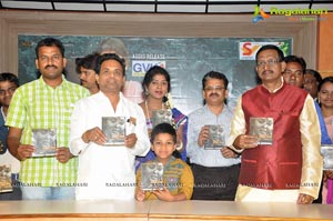 Mr Basha Audio Release