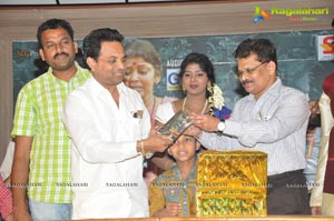 Mr Basha Audio Release