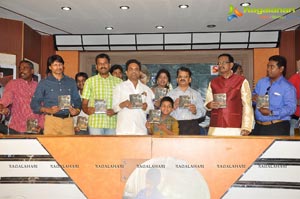 Mr Basha Audio Release