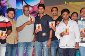 Pelladandi Preminchaka Matrame Audio Release