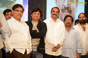 Race Gurram Audio Release