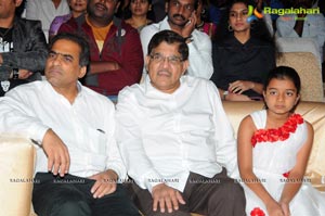 Race Gurram Audio Release