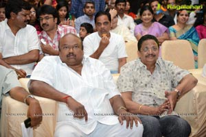 Race Gurram Audio Release